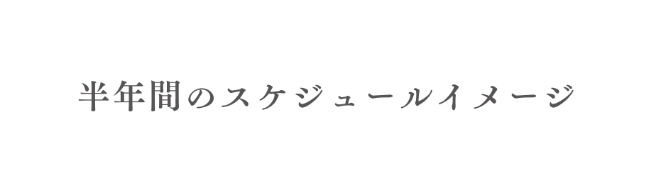 半年間のスケジュールイメージ